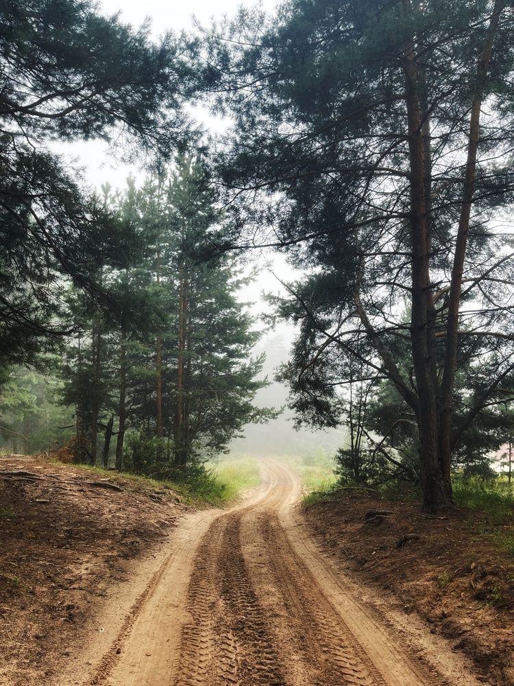 Photograph by Анна Любимова