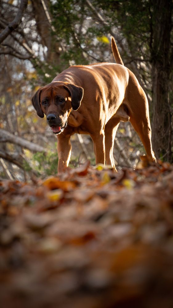 Фотография автора Kris Paske