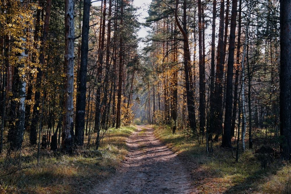 Photograph by Анна Любимова