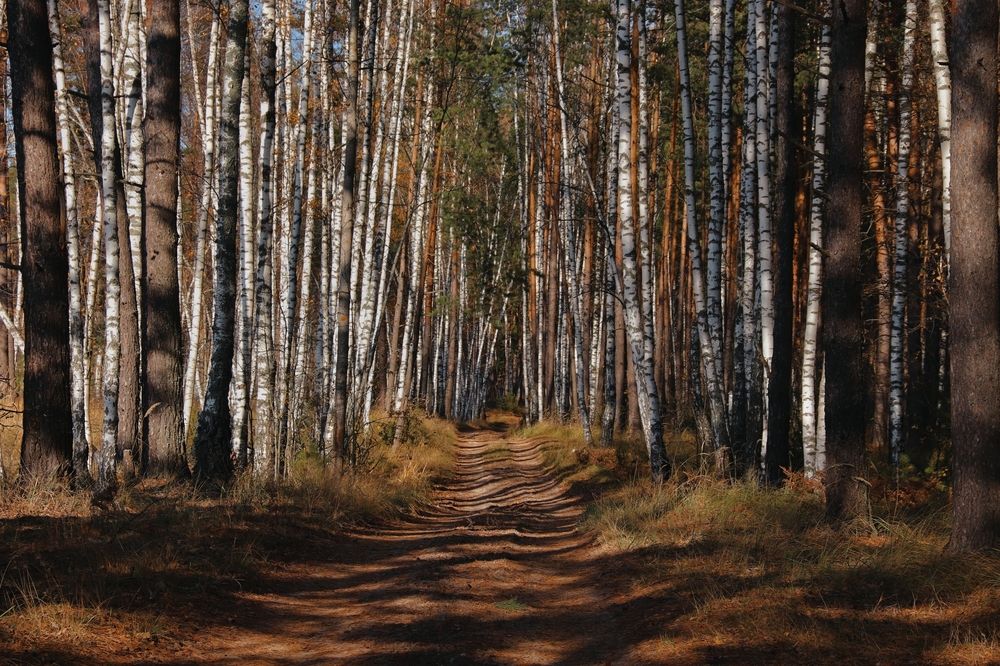 Photograph by Анна Любимова