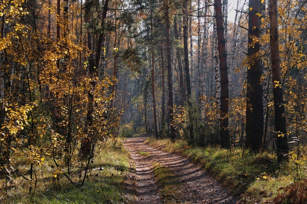 Photograph by Анна Любимова