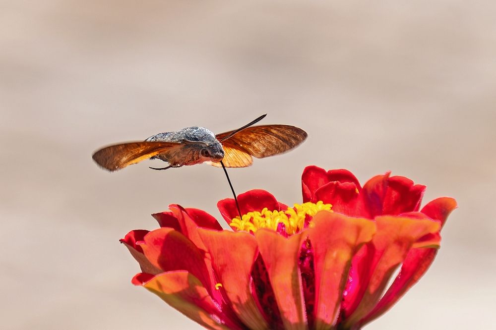 Photograph by Михаил Косолапов