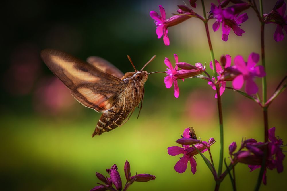 Photograph by Марина Мурашова