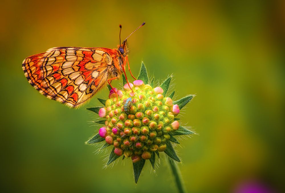 Photograph by Марина Мурашова