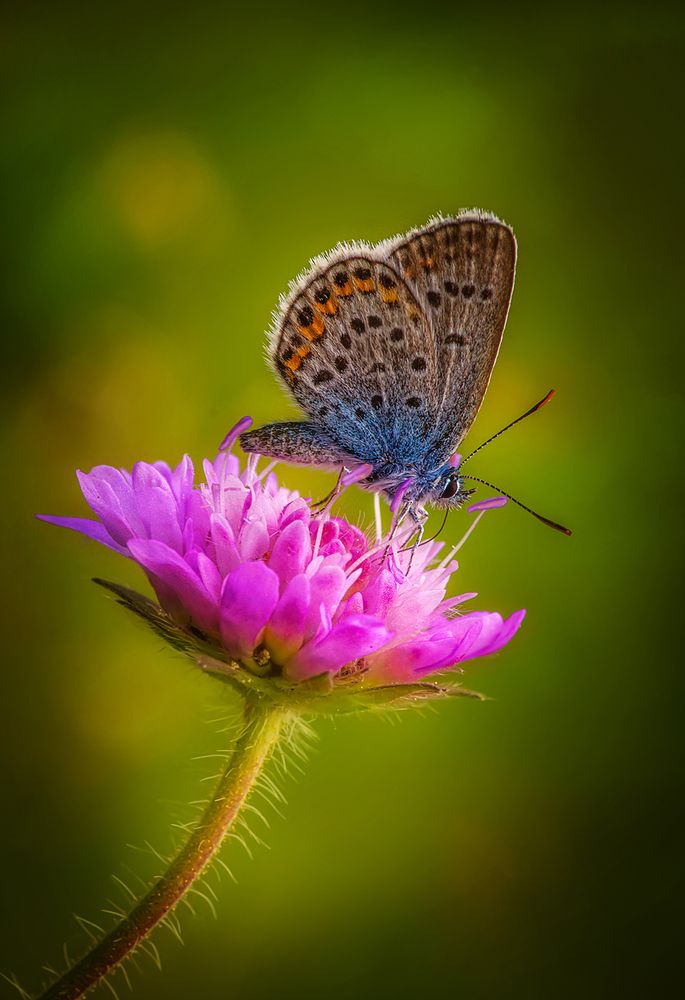 Photograph by Марина Мурашова