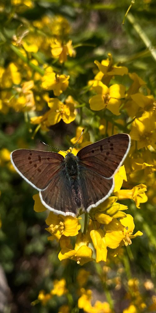 Photograph by Мария Карпычева