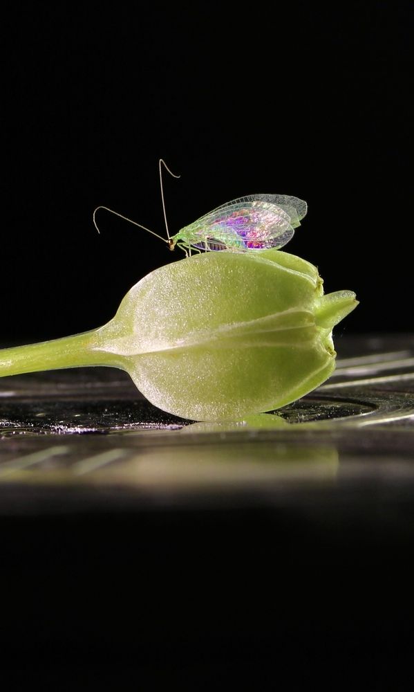 Photograph by Александр