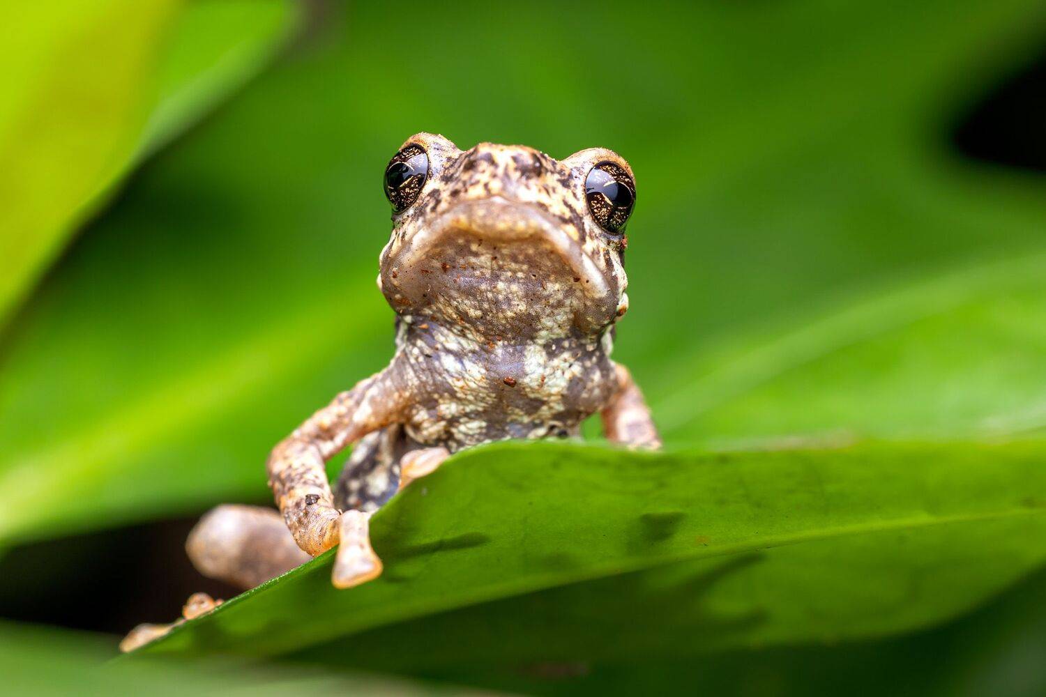 Фотография #12081540