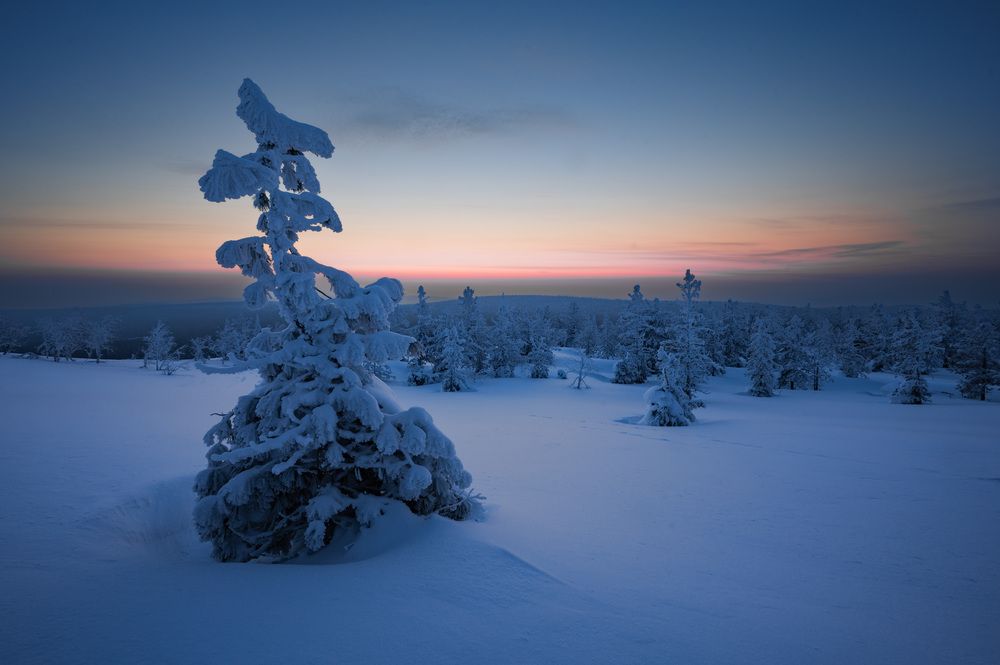 Photograph by Ivan Fedyanin