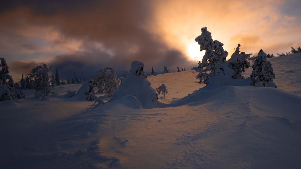 Photograph by Ivan Fedyanin