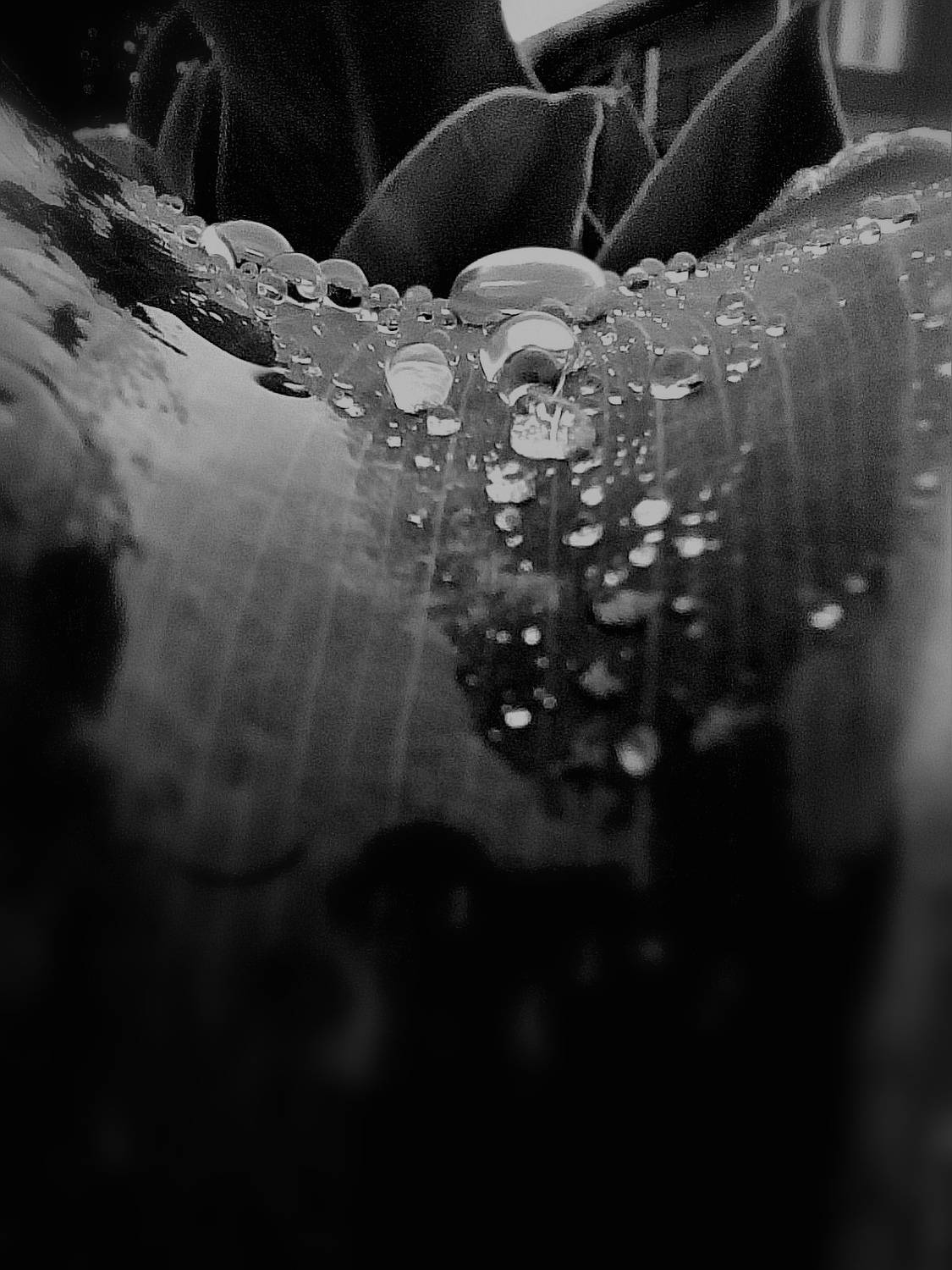 Photo #12081596