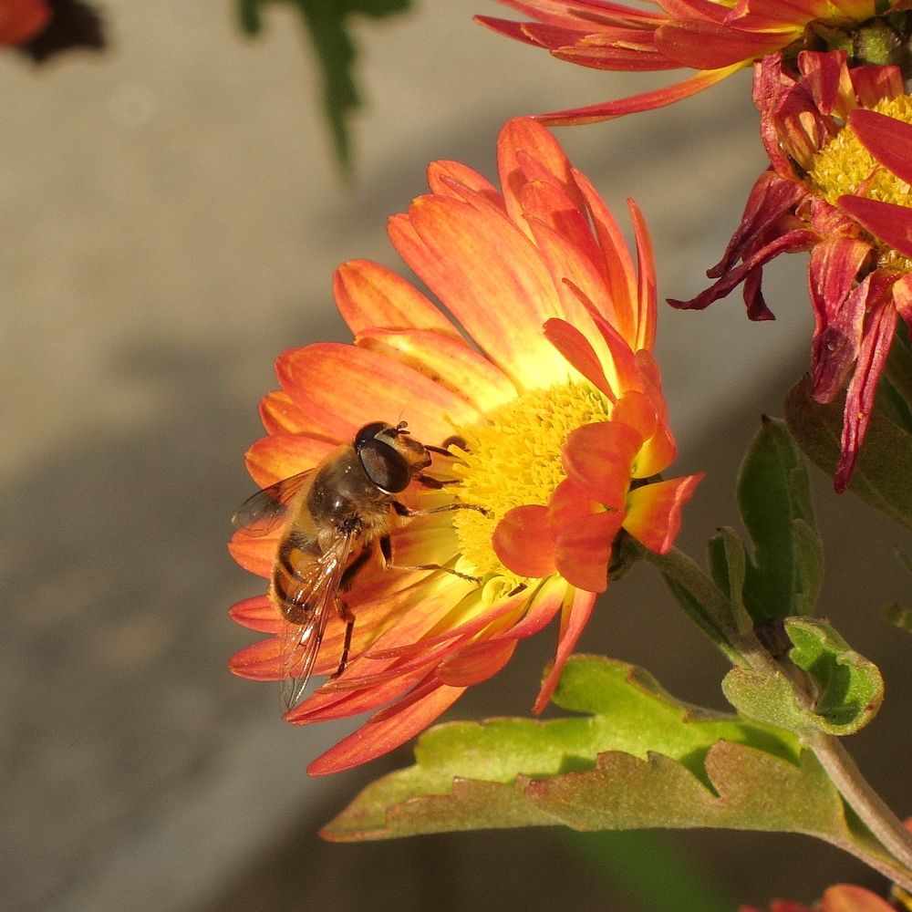 Фотография автора Батюков Алексей