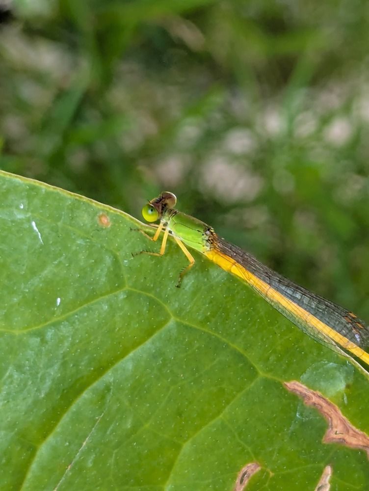 Photograph by Dimuth De Zoysa