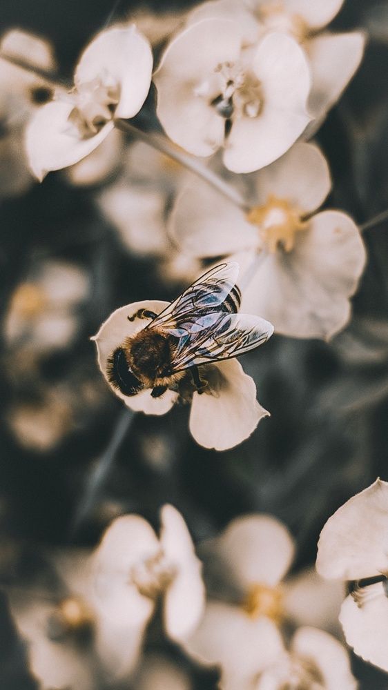 Photograph by Андрей Летов