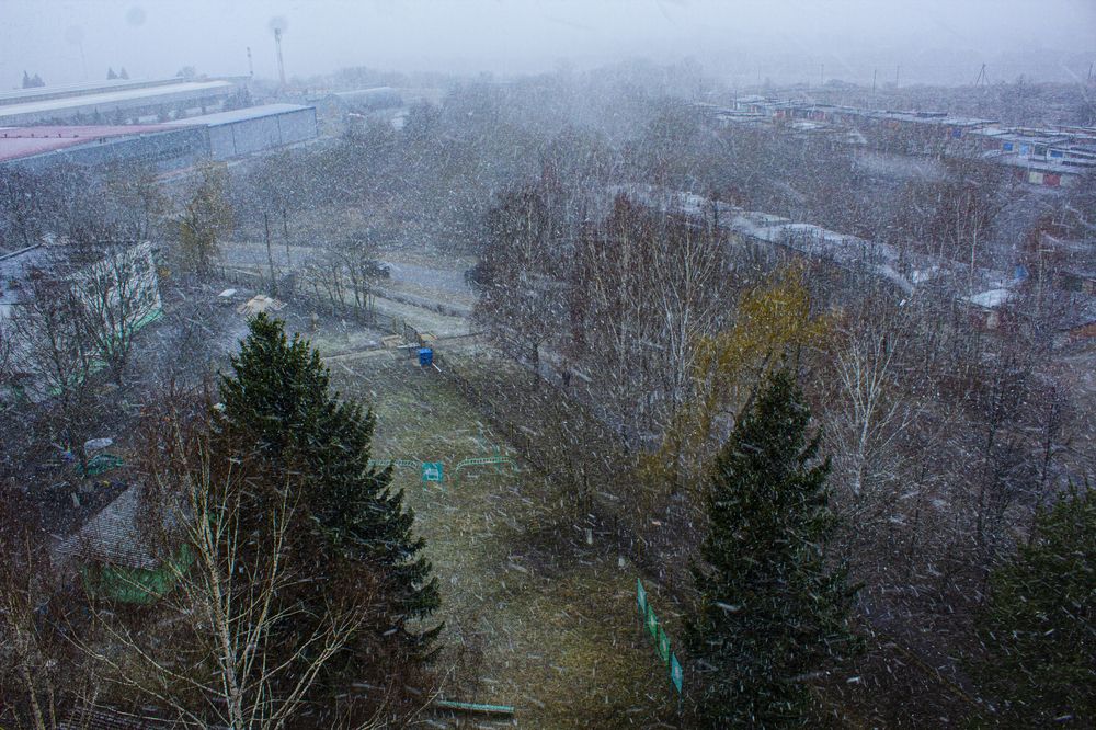 Photograph by Елена Фатьянова