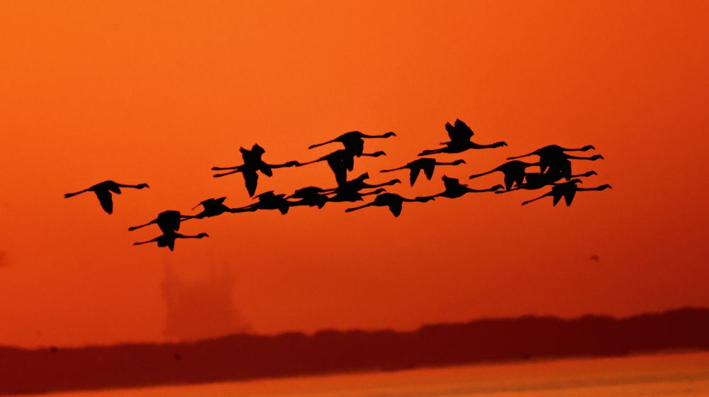 Photograph by Patel Harsh Vijaybhai