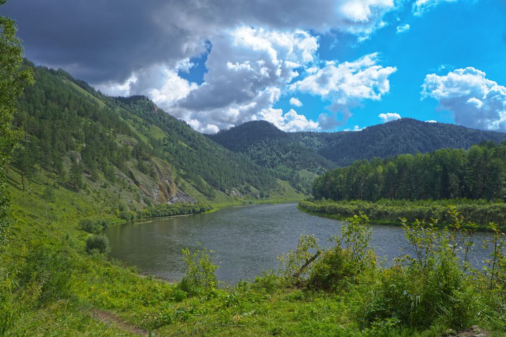 Фотография автора Александр Пургин