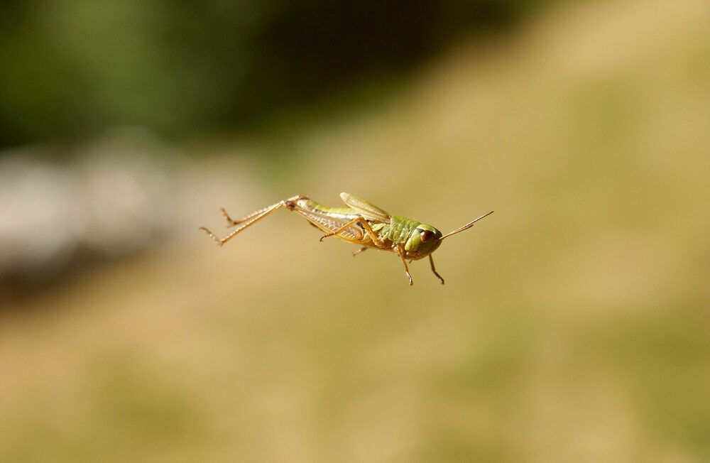 Photograph by Анна Семейникова