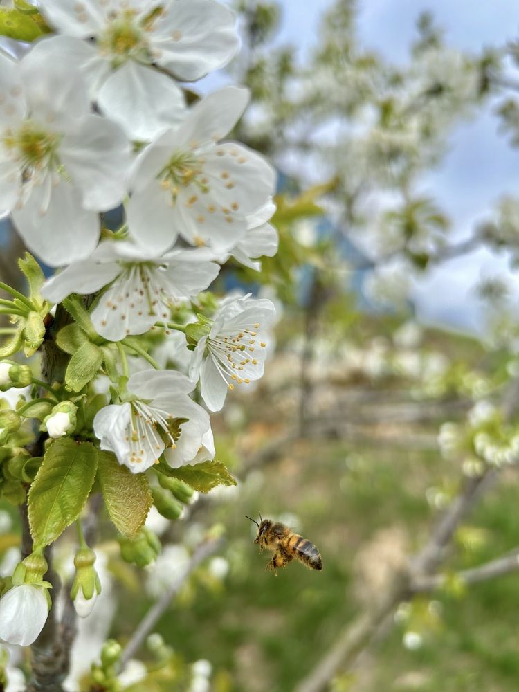 Photograph by Александр