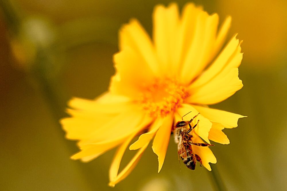 Photograph by Андрей Халемонец