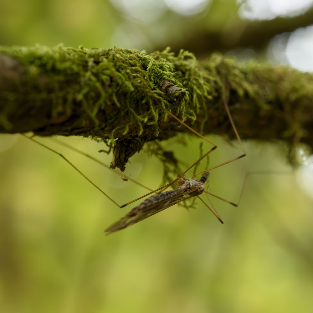 Photograph by Артем Алхимов