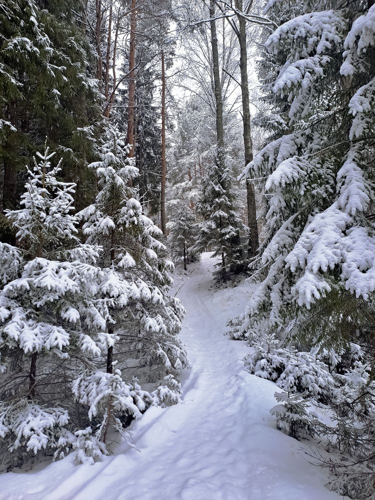 Photograph by Владимир Караман