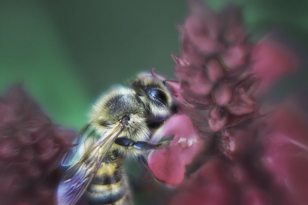 Photograph by Колесникова Татьяна