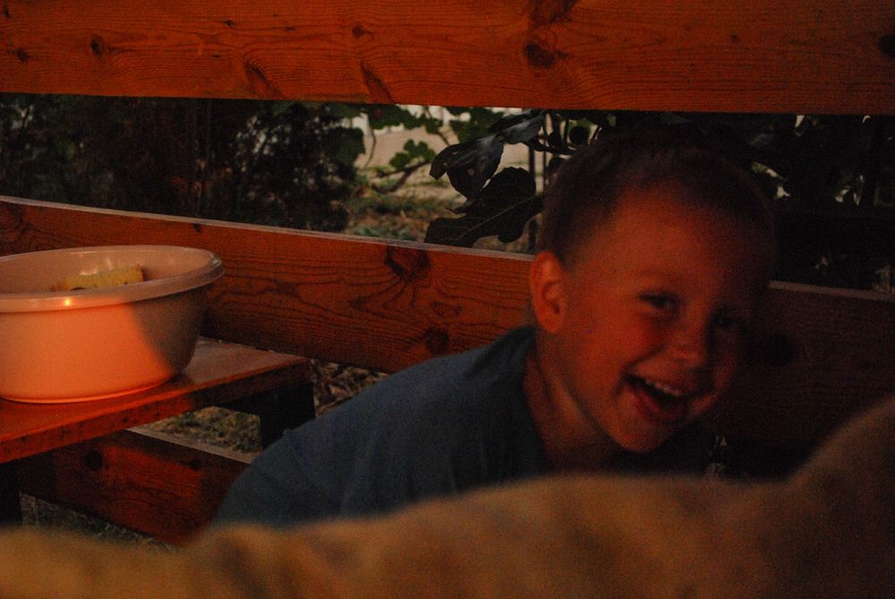 Photograph by Антонина Ревякина