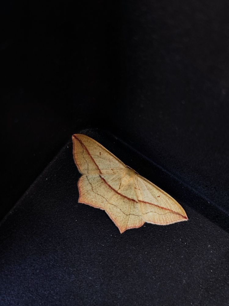 Фотография автора Алёна Подгорная