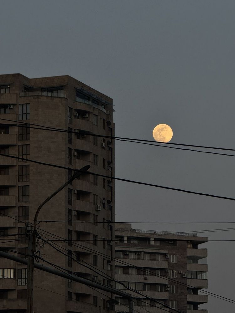 Photograph by Кристина Сидорова