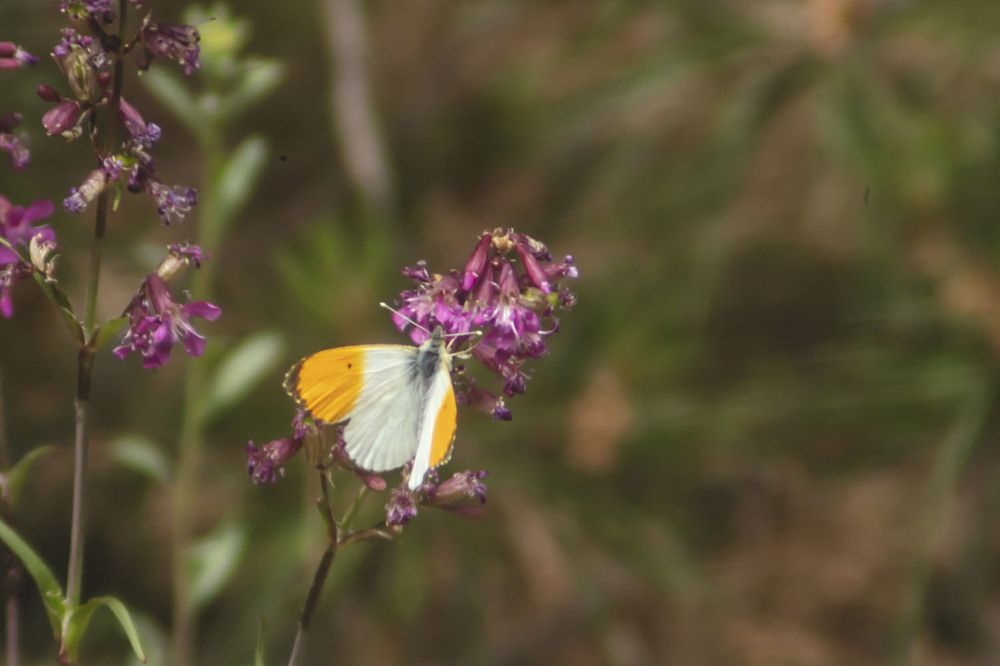 Photograph by миша