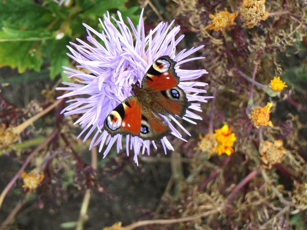 Photograph by Татьяна Поминова