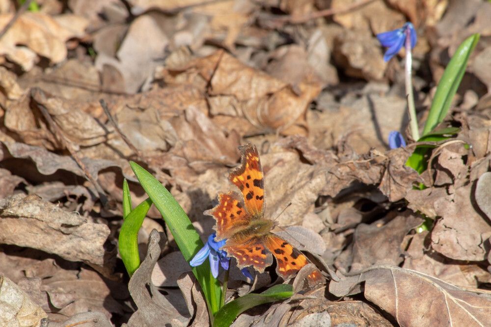 Photograph by Мари Полищук