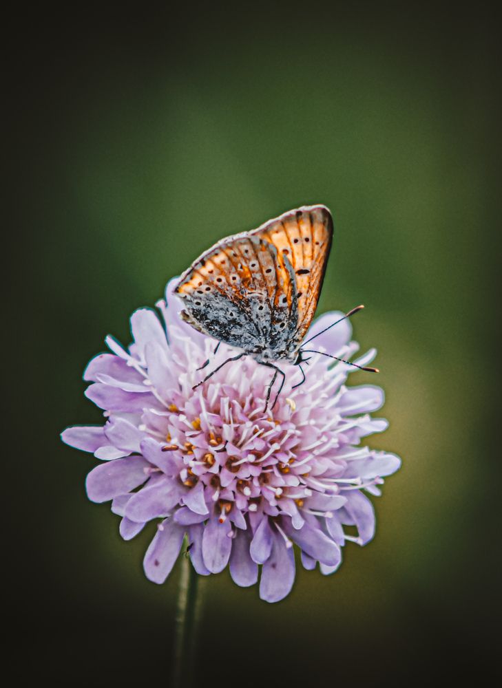 Photograph by Юлия