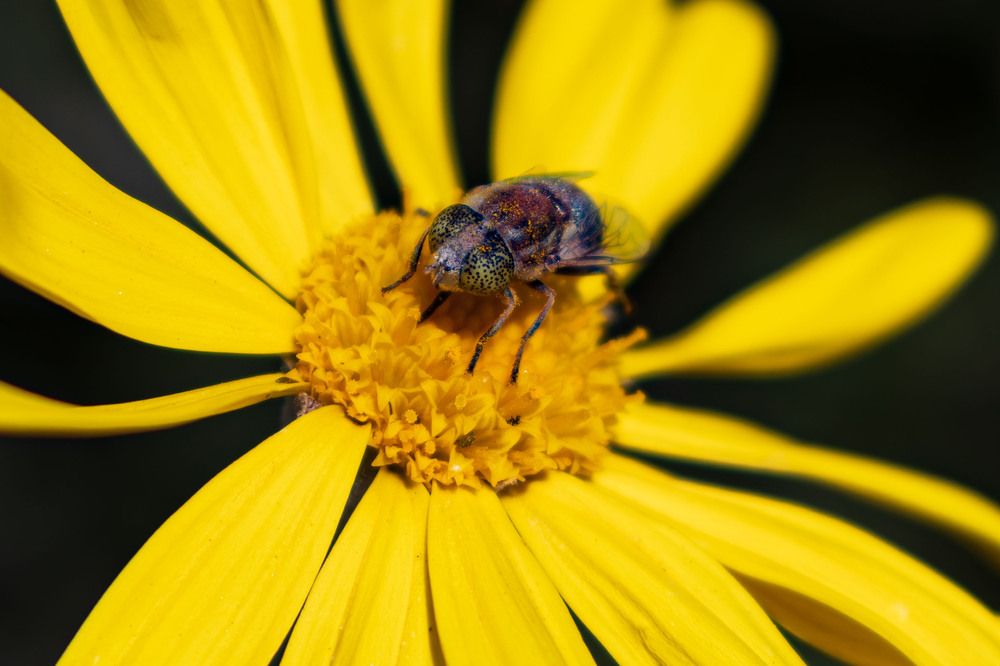 Photograph by Анастасия Мерчик