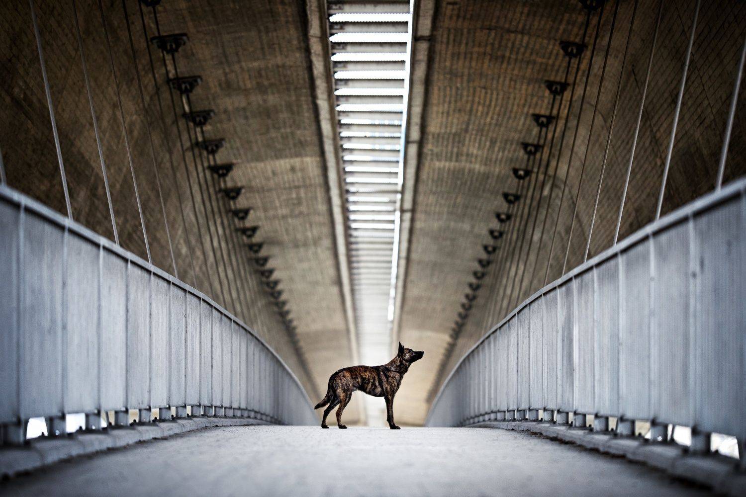 Фотография #12082475