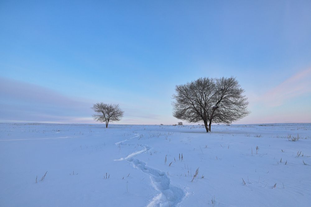 Photograph by Альберт Куулар