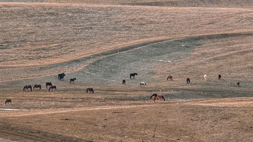Фотография автора Ольга Аваргина
