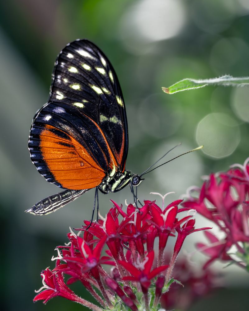 Photograph by Оксана Дорн