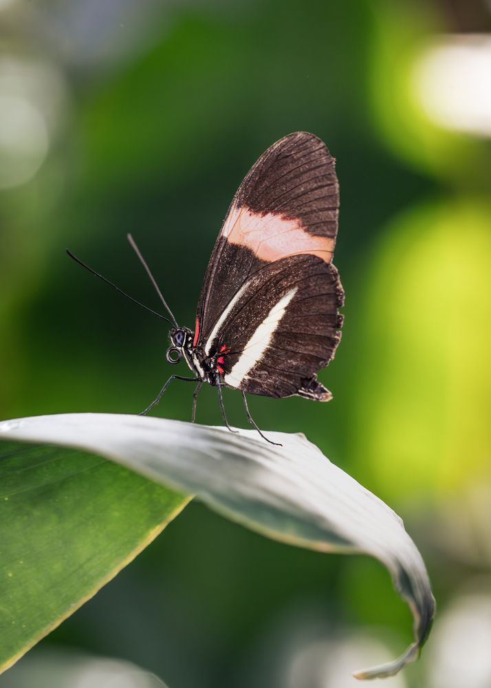 Фотография автора Оксана Дорн