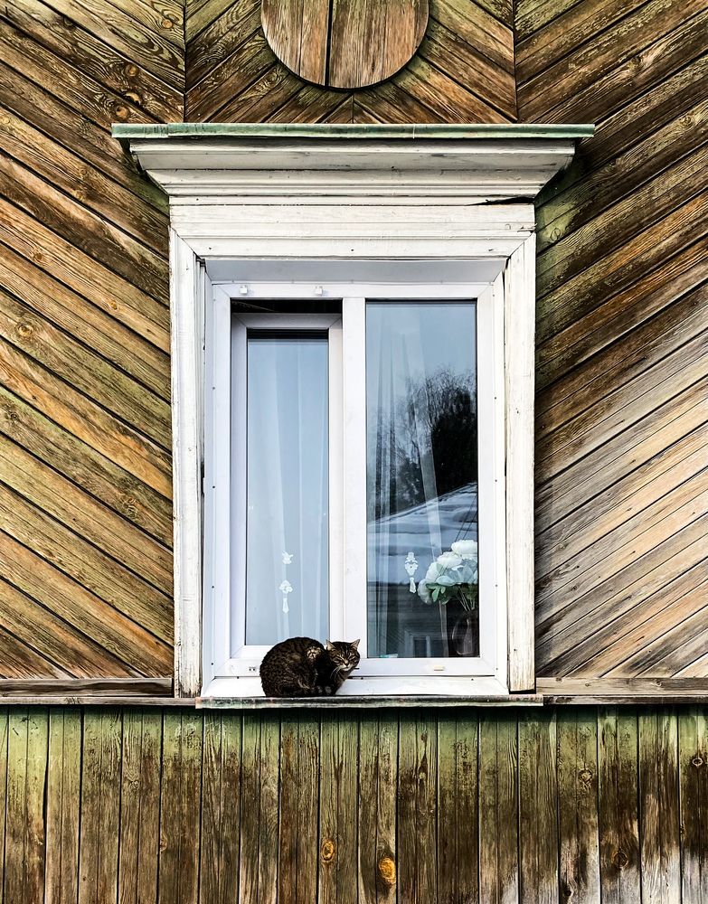 Photograph by Жанна Каргаполова