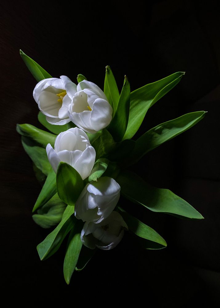 Photograph by Жанна Каргаполова