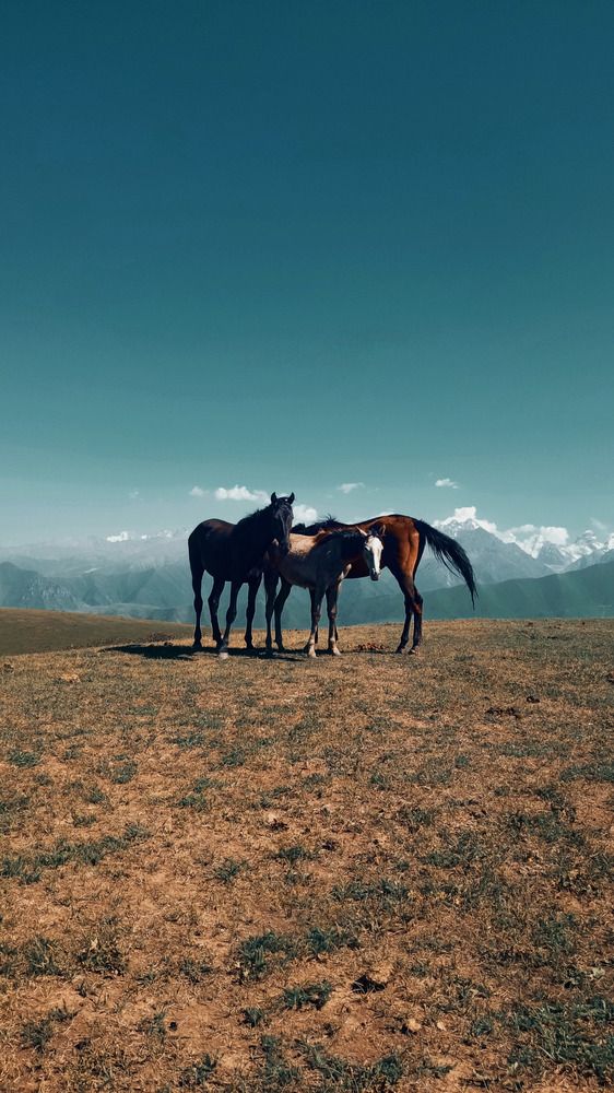 Фотография автора Ольга Аваргина
