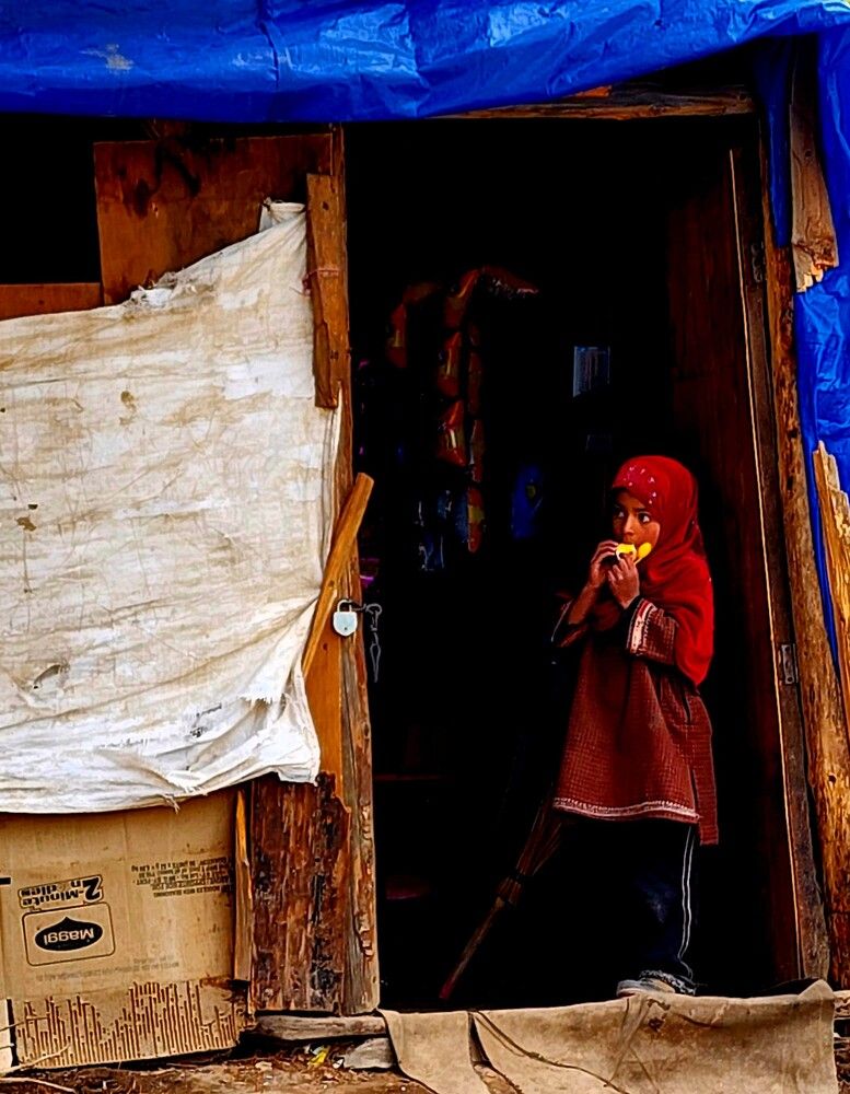 Photograph by G GOVIL