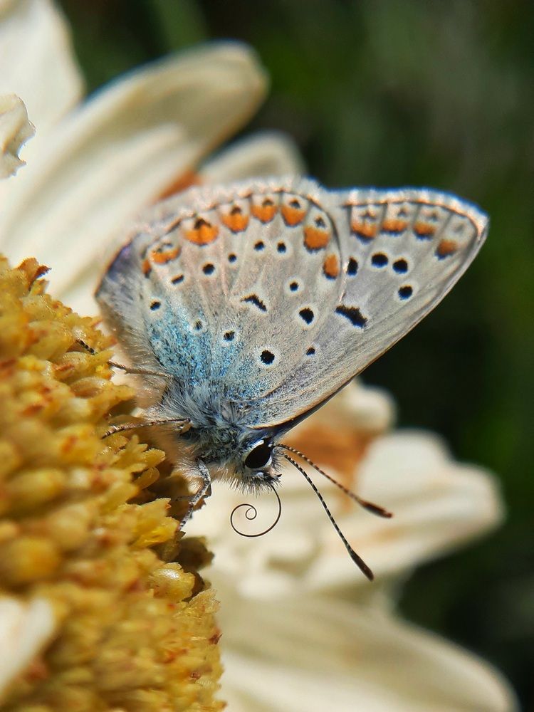Photograph by Фаина Аксентьева