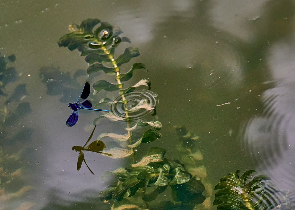 Photograph by Дмитрий Нежданов