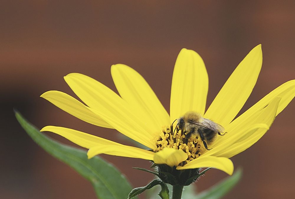 Photograph by Дария Ризниченко