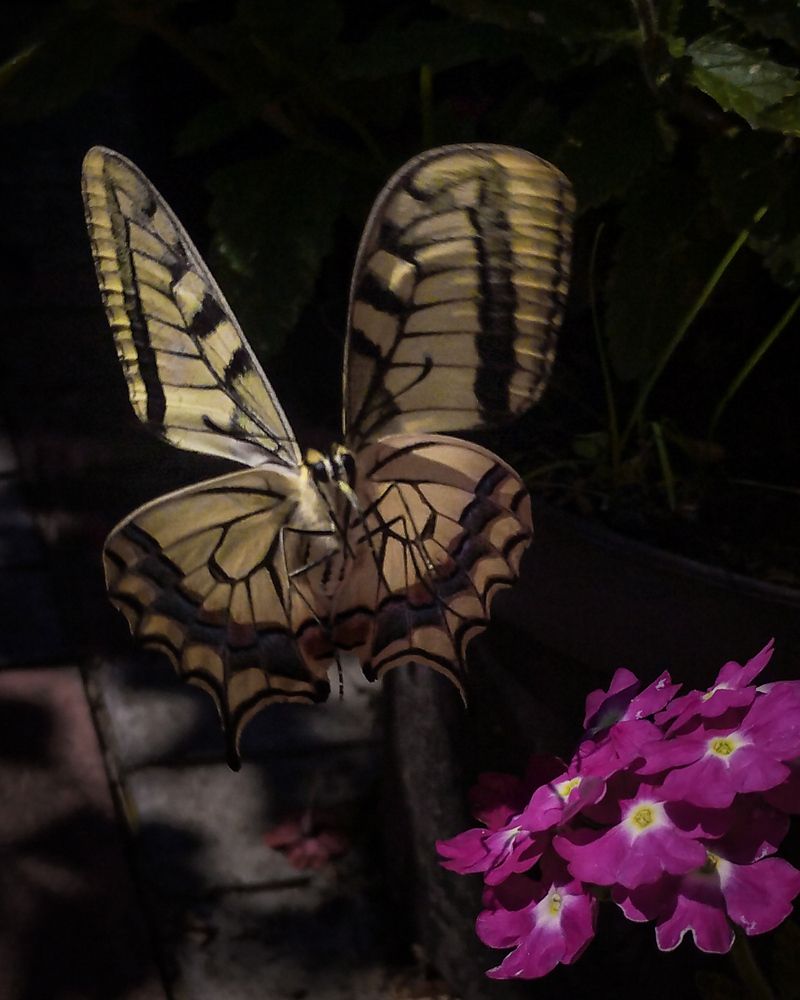 Photograph by Ольга Богорад