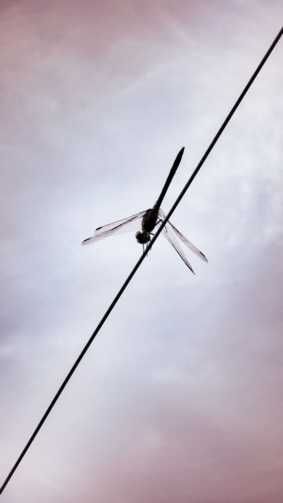 Photograph by Ольга Богорад