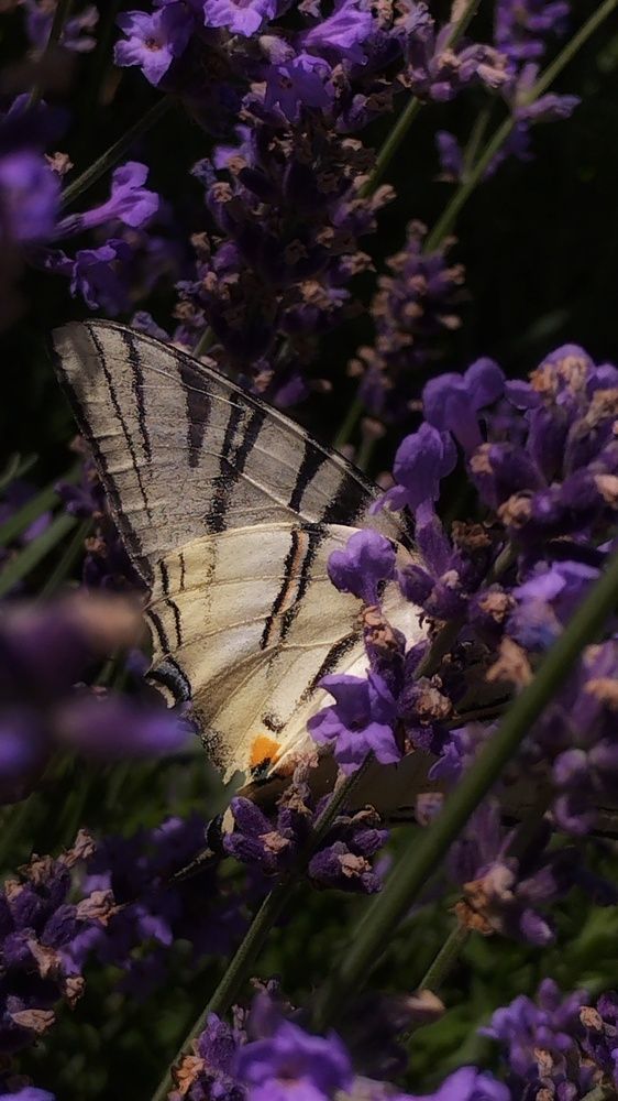 Photograph by Ольга Богорад